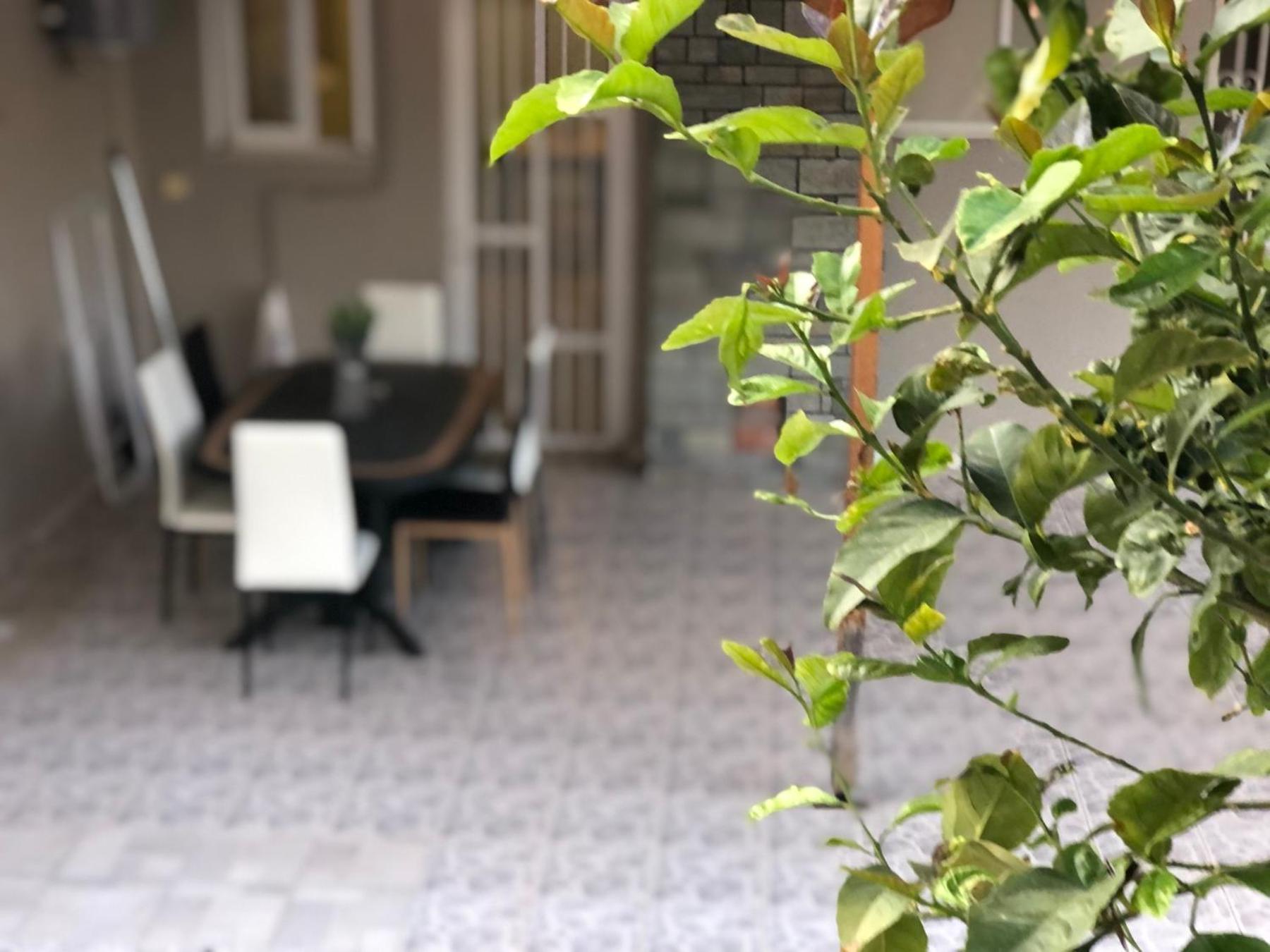 La Vita Apartments-Near Airport & Sea Artemida  Cameră foto